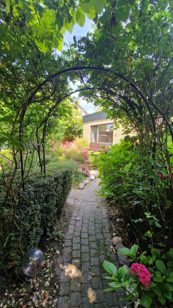 Garden path through the greenery