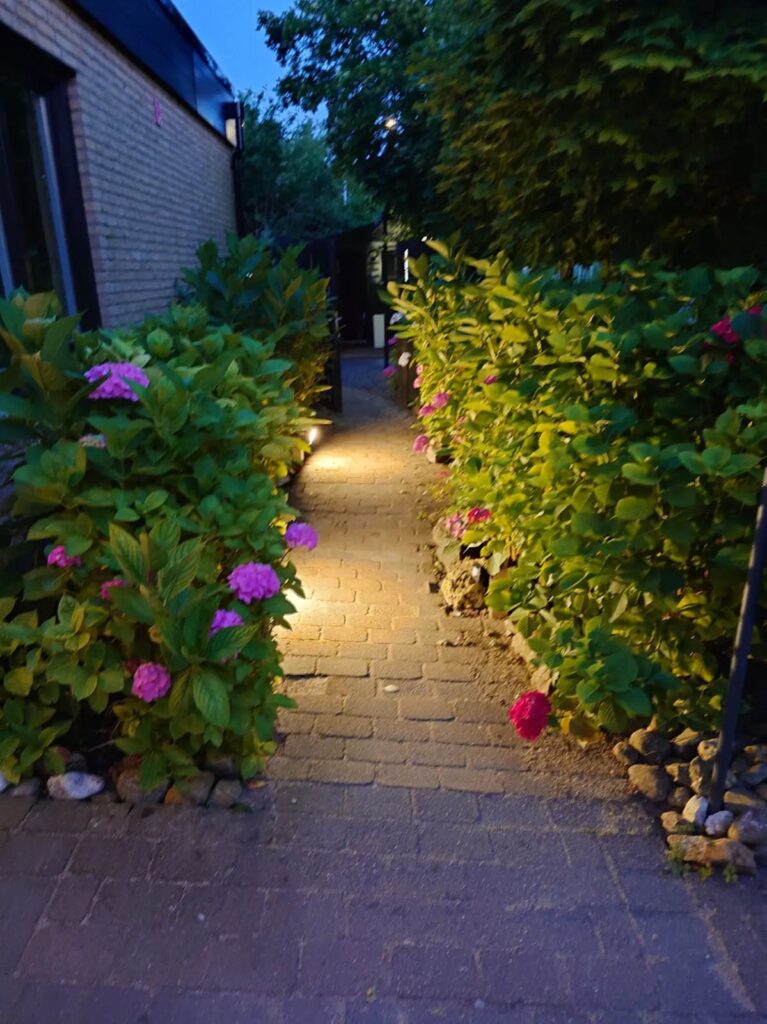De tuin ’s avonds verlicht